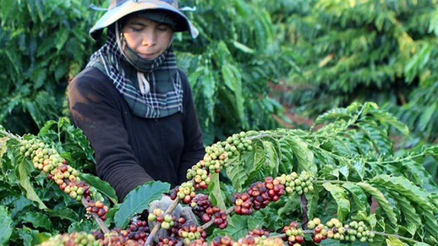 Vietnam seeks to expand export markets for farm produce